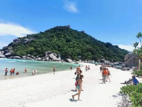 Koh Tao Koh Nang Yuan Speedboat Tour - gallery image 14