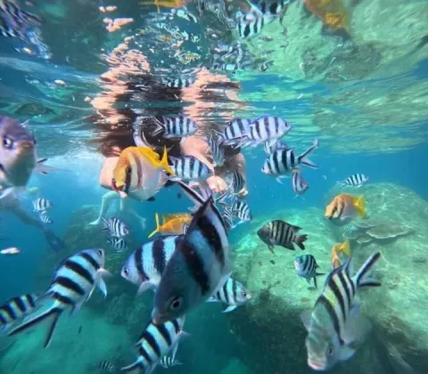 Koh Tao Koh Nang Yuan Speedboat Tour - gallery image 15