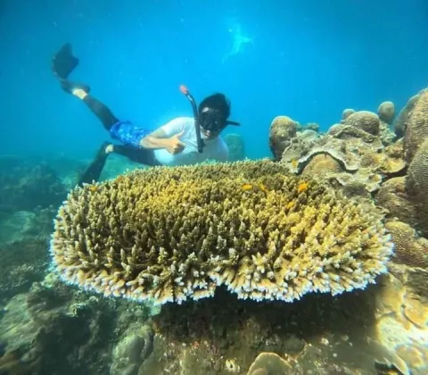 Koh Tao Koh Nang Yuan Speedboat Tour - gallery image 16