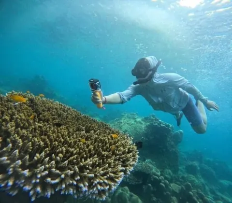 Koh Tao Koh Nang Yuan Speedboat Tour - gallery image 17