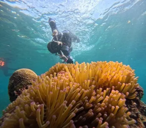 Koh Tao Koh Nang Yuan Speedboat Tour - gallery image 18