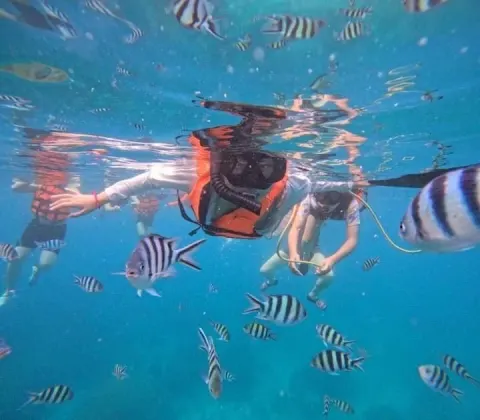 Koh Tao Koh Nang Yuan Speedboat Tour - gallery image 19