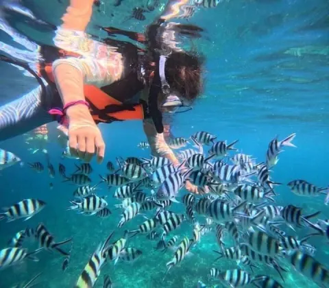 Koh Tao Koh Nang Yuan Speedboat Tour - gallery image 23