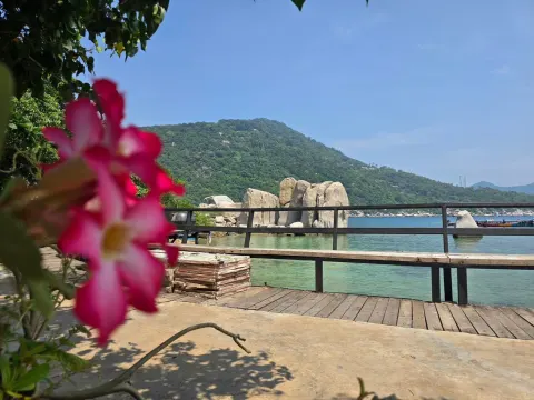 Koh Tao Koh Nang Yuan Speedboat Tour - gallery image 29