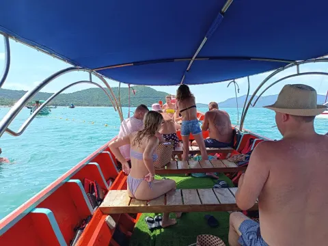 Private Longtail Boat to Pig Island Koh Tan - gallery image 9