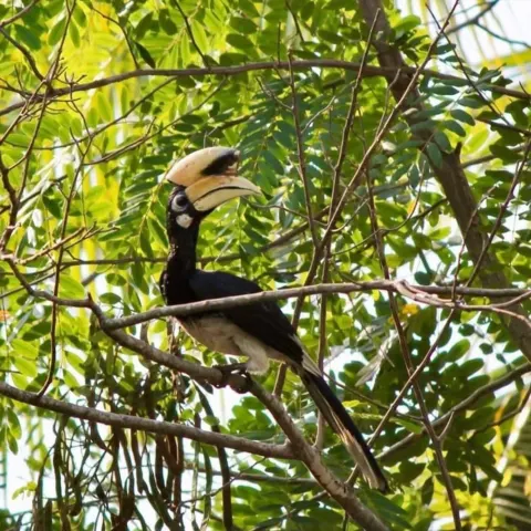 Ang Thong National Marine Park Speedboat Tour - gallery image 11