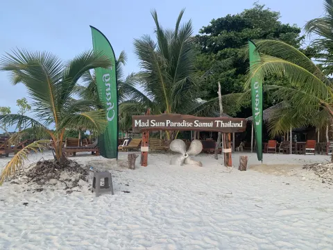 Koh Madsum Pig Island Tour - gallery image 22