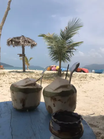 Koh Madsum Pig Island Tour - gallery image 24